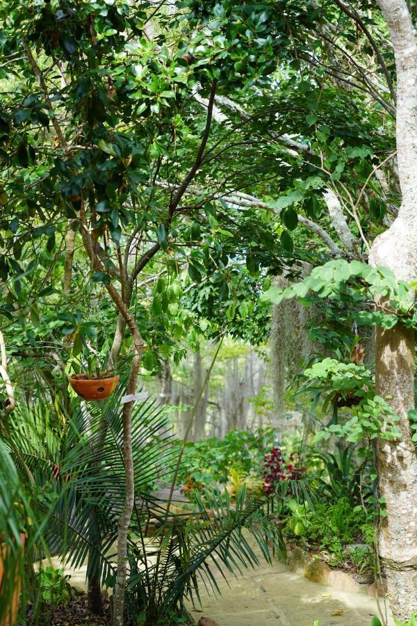 El Paraiso Posada Finca San Vicente Barichara Zewnętrze zdjęcie