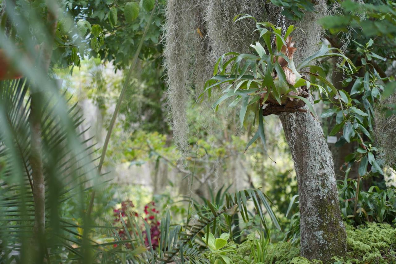 El Paraiso Posada Finca San Vicente Barichara Zewnętrze zdjęcie